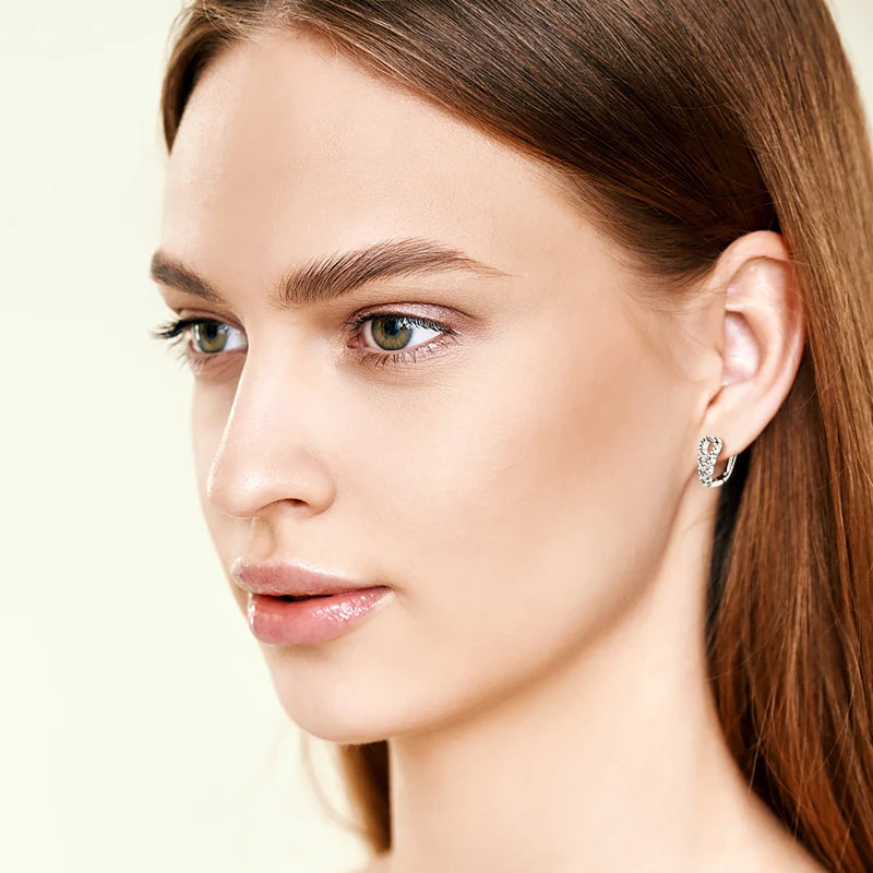 Earrings for Women Aesthetic 925 Silver Hoop Huggie Jewelry