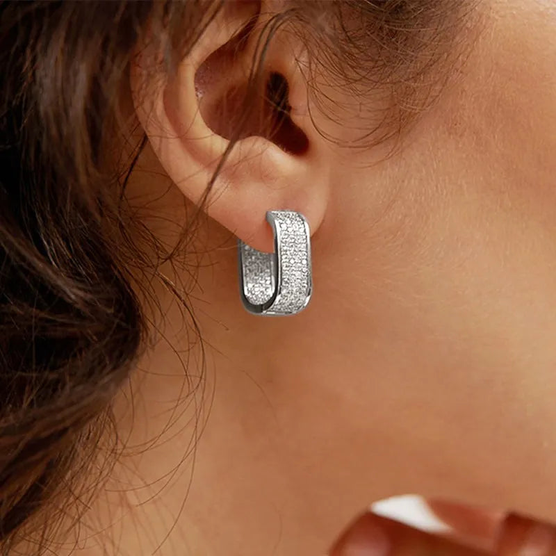 Earrings for Women 925 Silver Versatile Girls Earrings Hot Jewelry