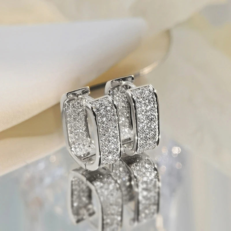 Earrings for Women 925 Silver Versatile Girls Earrings Hot Jewelry